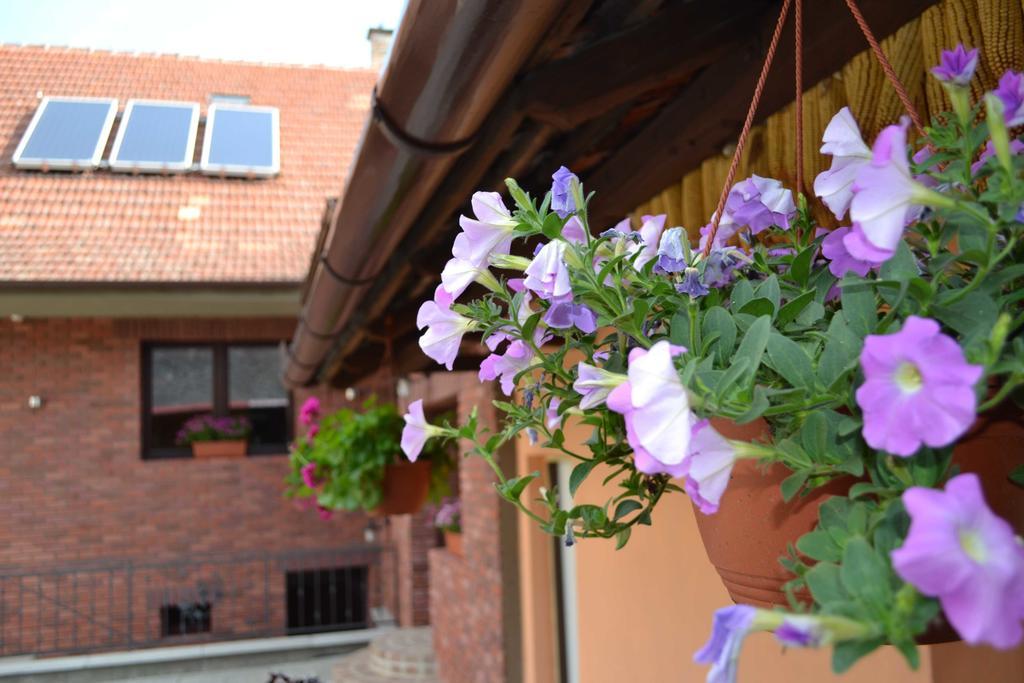 Penzion Vinarsky Dvorek Velke Nemcice Dış mekan fotoğraf